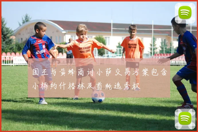 国王与黄蜂商讨小萨交易方案包含小桥约什格林及首轮选秀权